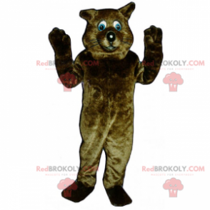 Mascota gato marrón con ojos azules - Redbrokoly.com