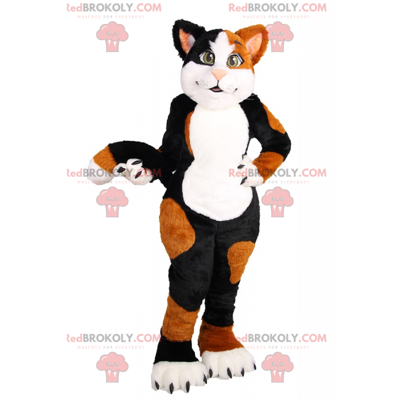 Mascote gato marrom e preto - Redbrokoly.com
