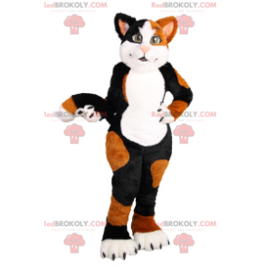 Maskottchen der braunen und schwarzen Katze - Redbrokoly.com