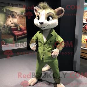 Olive Ferret...