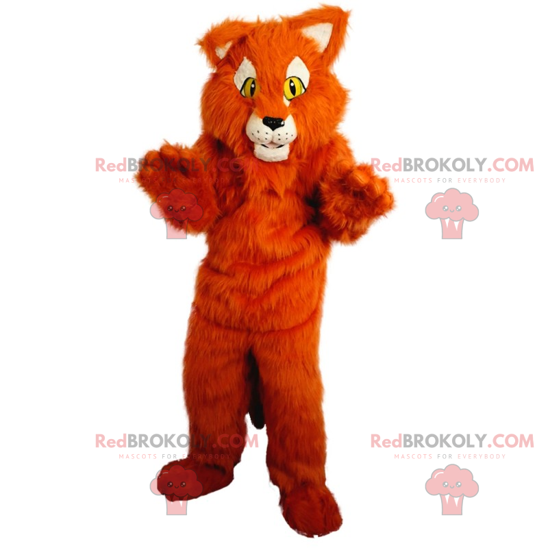 Mascota gato rojo - Redbrokoly.com