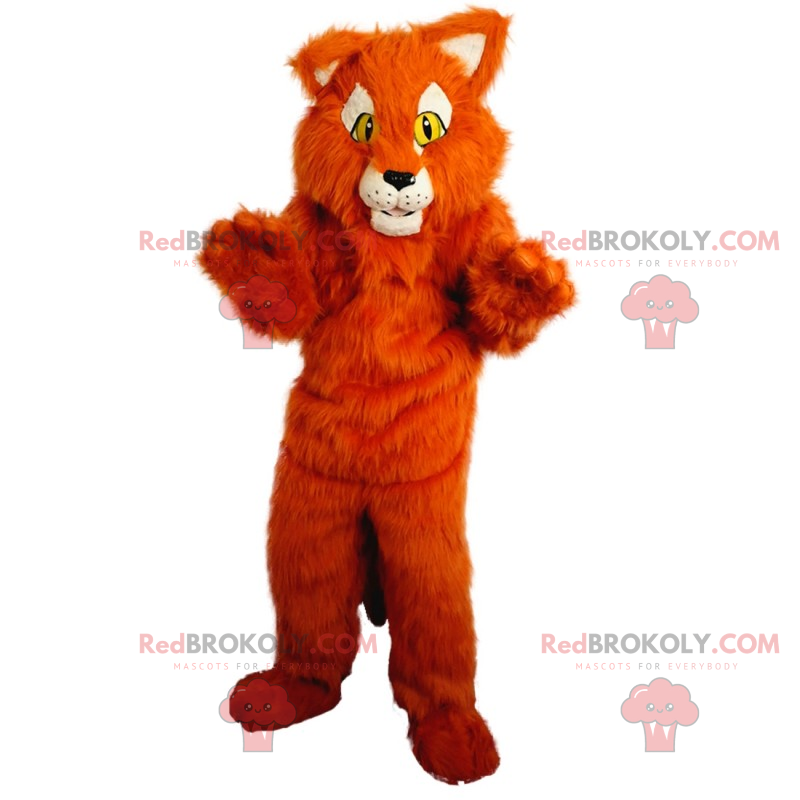 Maskotka czerwony kot - Redbrokoly.com Maskotka czerwony kot - Redbrokoly.com