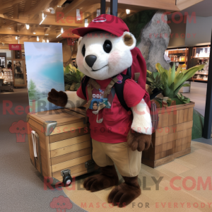 Maroon Ferret mascot...