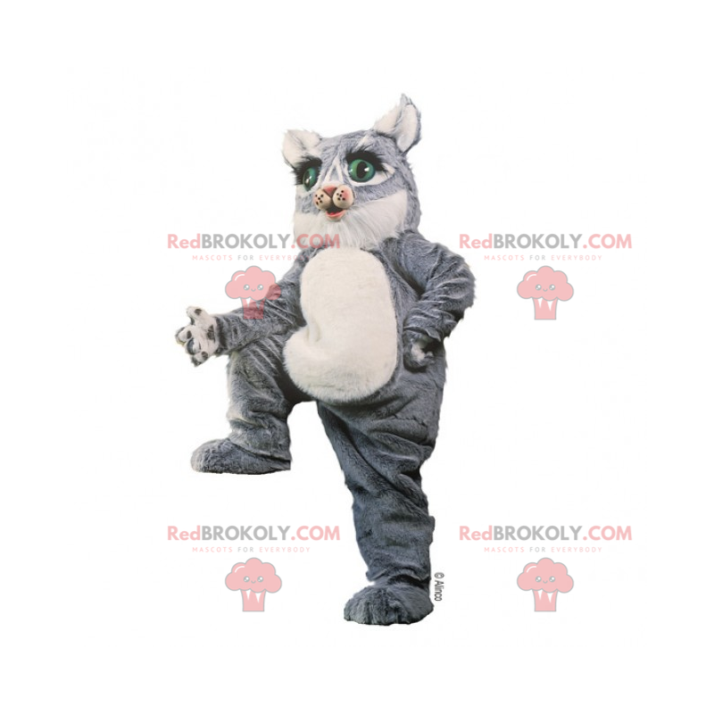 Mascotte de chaton gris aux yeux verts - Redbrokoly.com