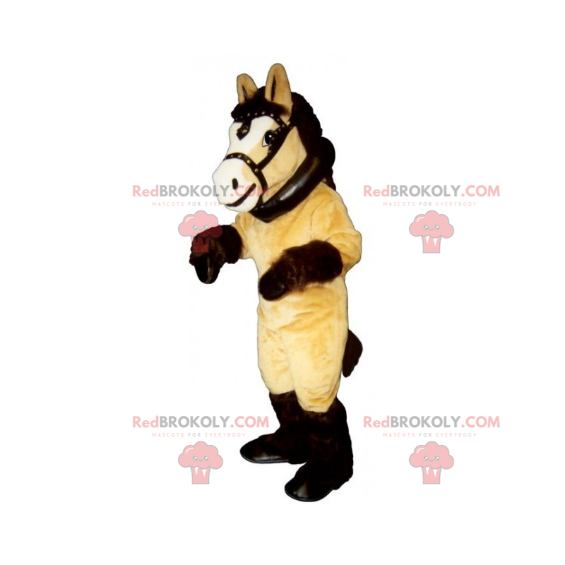 Cavalo mascote com grande arreio - Redbrokoly.com Cavalo mascote com grande arreio - Redbrokoly.com