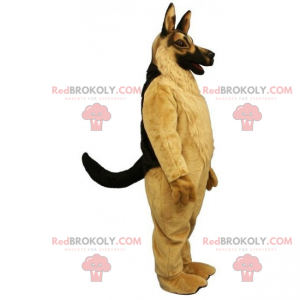 Mascota del perro - Pastor alemán - Redbrokoly.com