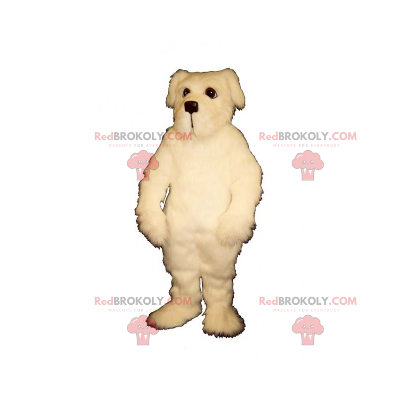 Mascote cão - Bichon maltês - Redbrokoly.com