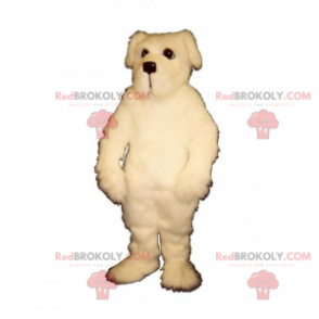 Hondenmascotte - Maltese Bichon - Redbrokoly.com