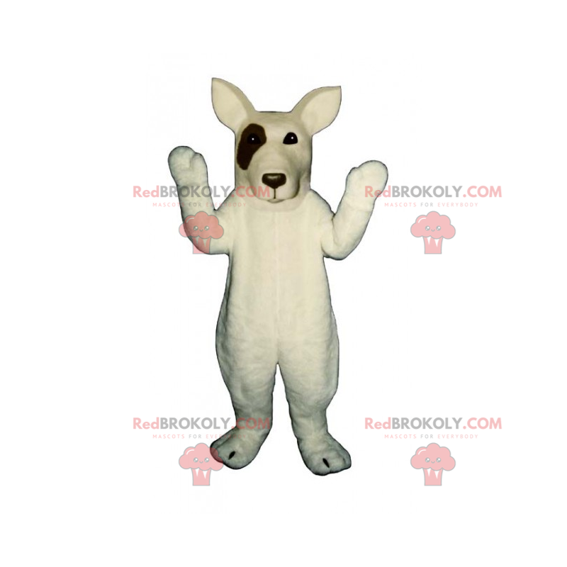 Cão mascote - Bull Terrier - Redbrokoly.com