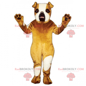 Mascote cão - Bulldog Inglês - Redbrokoly.com