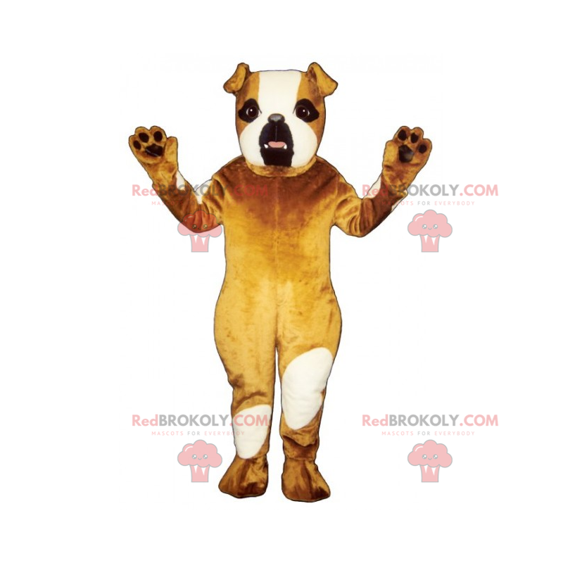 Hundmaskot - engelsk bulldog - Redbrokoly.com