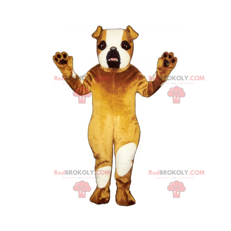 Mascote cão - Bulldog Inglês - Redbrokoly.com