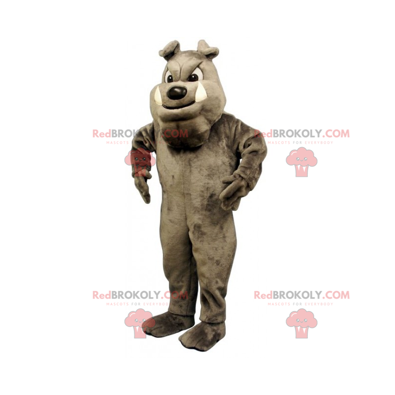 Maskot psa - šedý anglický buldok - Redbrokoly.com