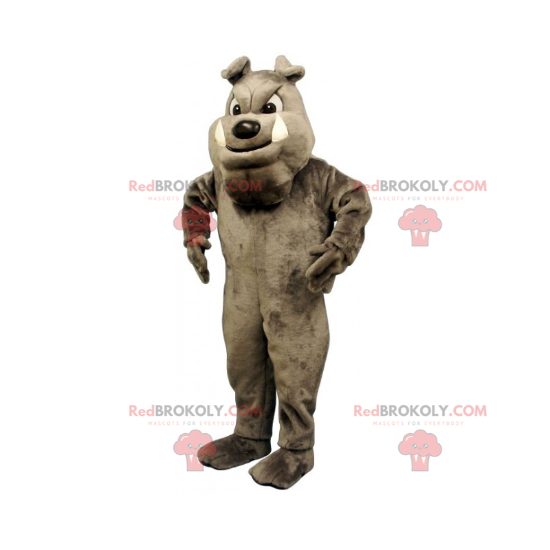 Maskot psa - šedý anglický buldok - Redbrokoly.com Maskot psa - šedý anglický buldok - Redbrokoly.com
