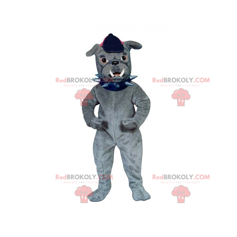 Hondenmascotte - Bulldog met pet - Redbrokoly.com