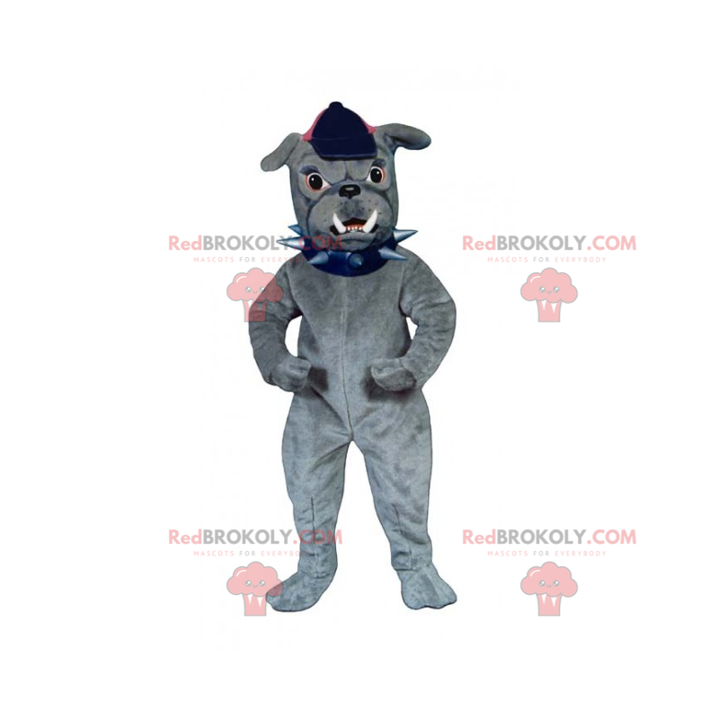 Maskot psa - buldok s víčkem - Redbrokoly.com Maskot psa - buldok s víčkem - Redbrokoly.com