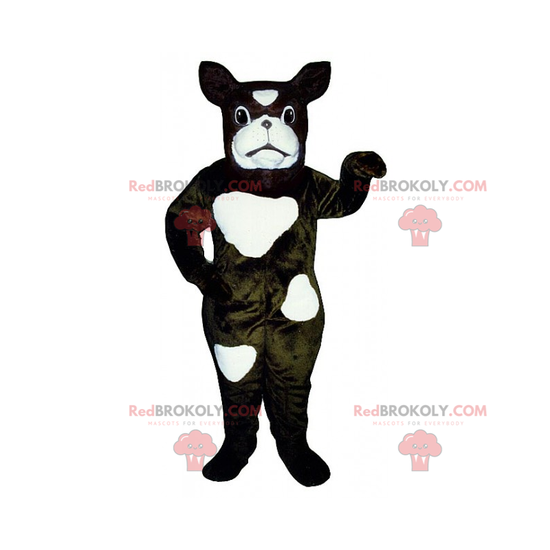 Hondenmascotte - Franse Bulldog heeft vlekken - Redbrokoly.com