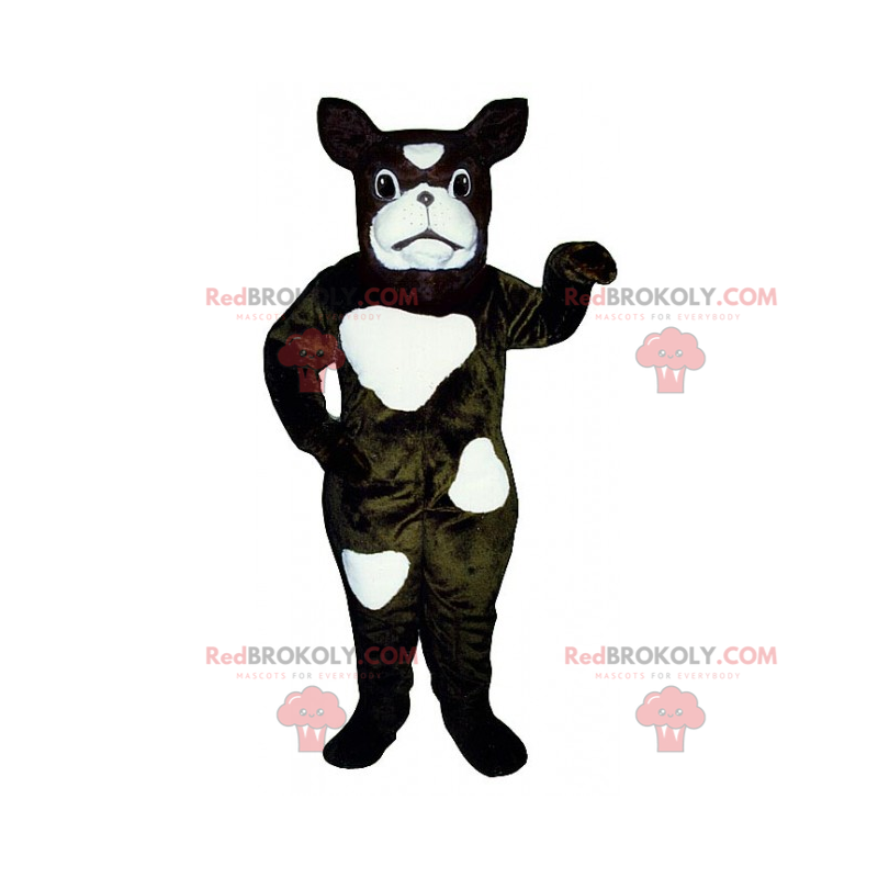 Mascotte de chien - Bulldog français a taches - Redbrokoly.com Mascotte de chien - Bulldog français a taches - Redbrokoly.com