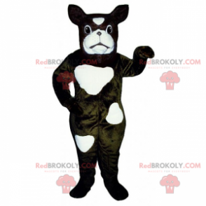 Mascote do cão - Bulldog Francês tem manchas - Redbrokoly.com