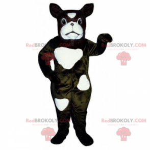 Pies maskotka - Buldog francuski ma plamy - Redbrokoly.com