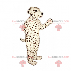 Mascota del perro - dálmata - Redbrokoly.com