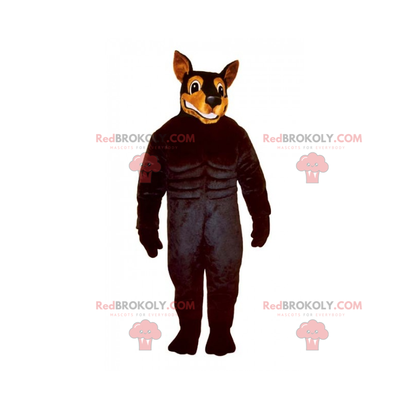 Mascotte del cane - Doberman - Redbrokoly.com