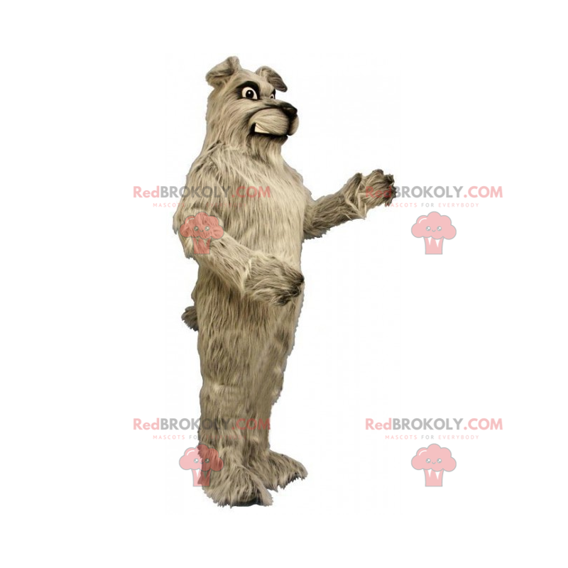 Maskot psa - foxteriér - Redbrokoly.com