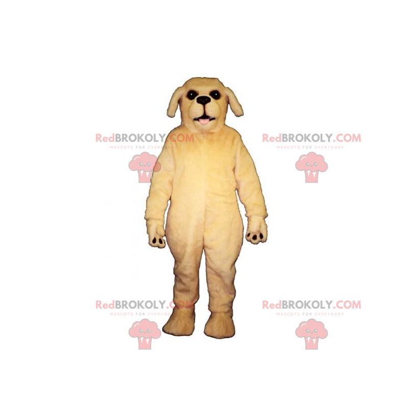 Mascote do cão - Golden Retriever - Redbrokoly.com