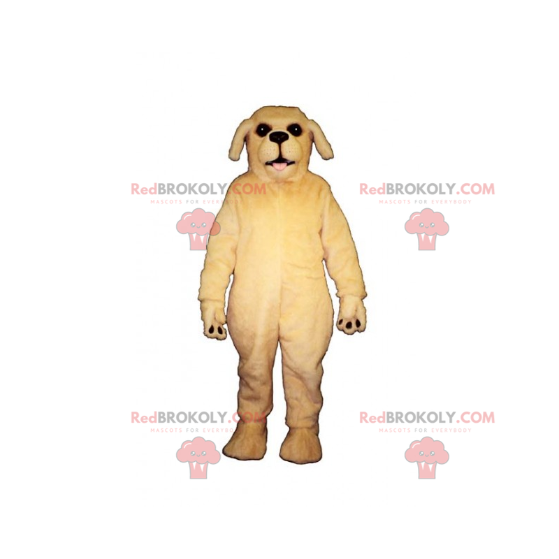 Mascote do cão - Golden Retriever - Redbrokoly.com Mascote do cão - Golden Retriever - Redbrokoly.com