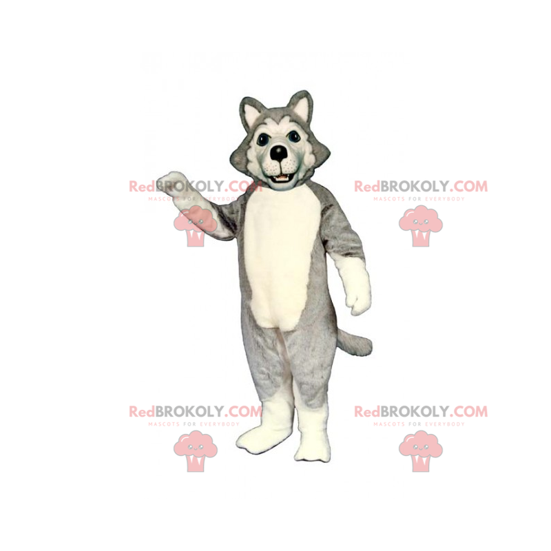 Mascote do cão - Grey Husky - Redbrokoly.com