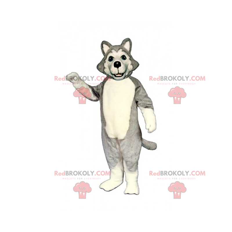 Maskot psa - šedý husky - Redbrokoly.com Maskot psa - šedý husky - Redbrokoly.com
