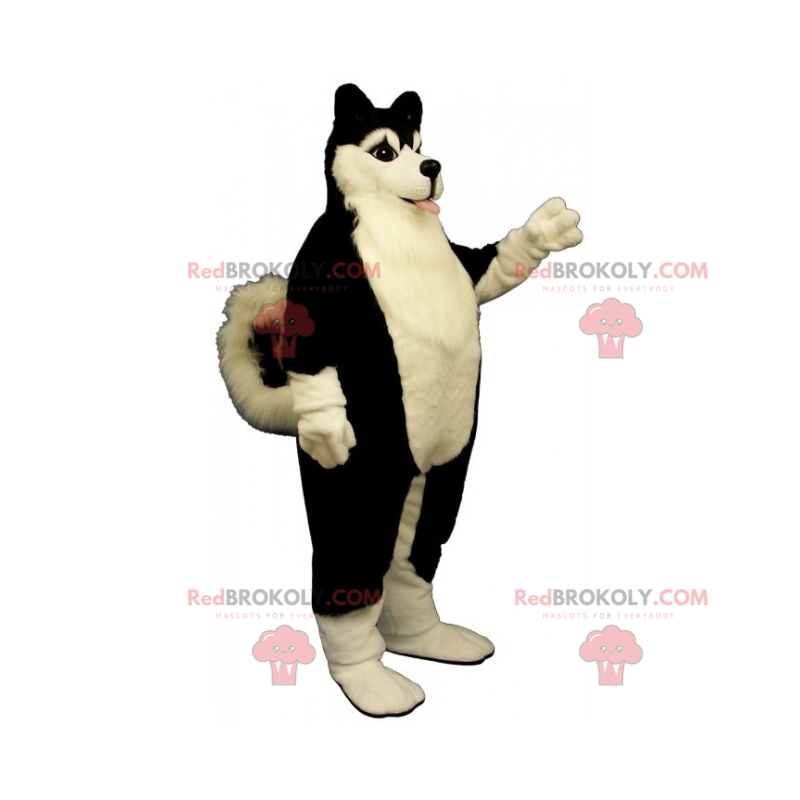 Dog mascot - Black Husky - Redbrokoly.com