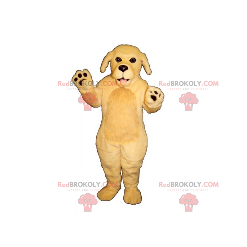 Dog mascot - Labrador - Redbrokoly.com