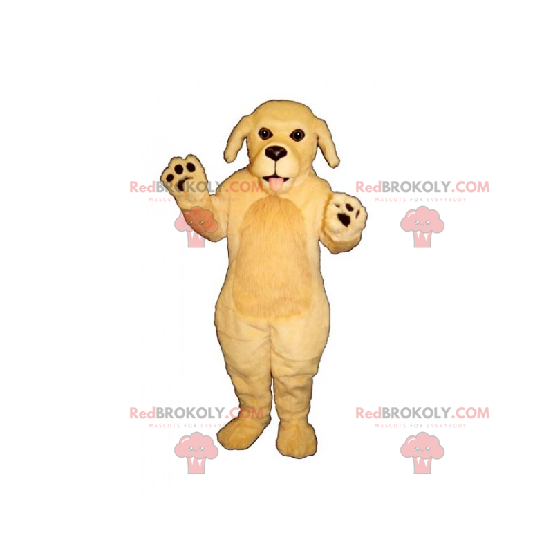 Hundemaskot - Labrador - Redbrokoly.com