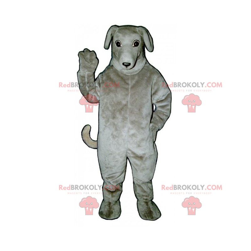 Mascotte del cane - Greyhound - Redbrokoly.com