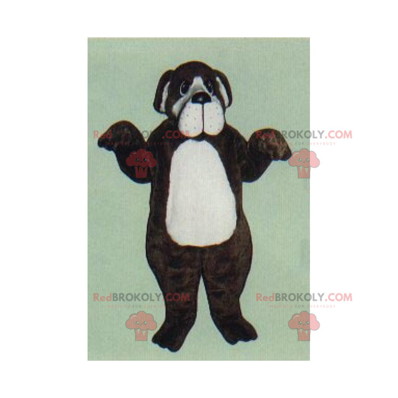 Mascote cão - Ponteiro Inglês - Redbrokoly.com