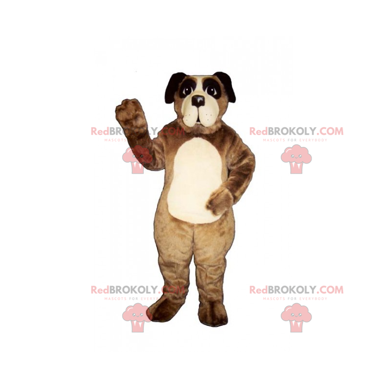 Dog mascot - Saint Bernard - Redbrokoly.com