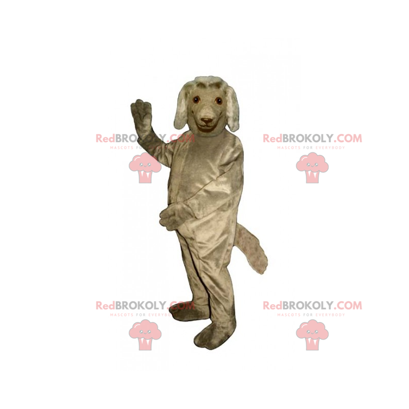 Mascote cão - Setter Irlandês - Redbrokoly.com