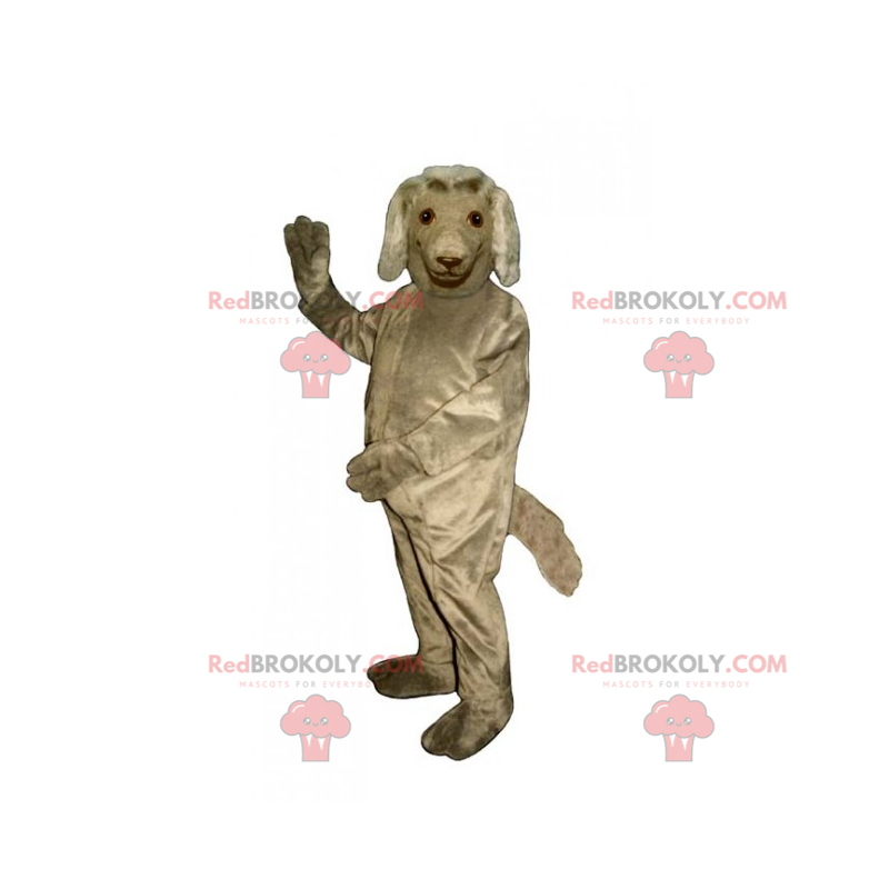 Mascote cão - Setter Irlandês - Redbrokoly.com Mascote cão - Setter Irlandês - Redbrokoly.com