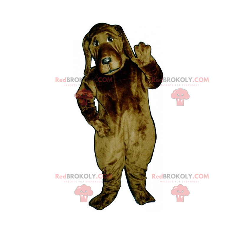 Mascotte del cane - St Hubert - Redbrokoly.com