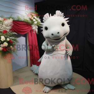 Grijze Axolotls...