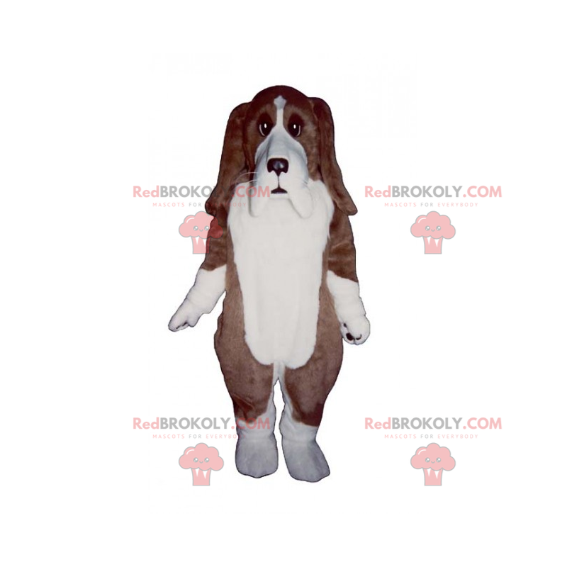 Mascotte de chien - Teckel - Redbrokoly.com