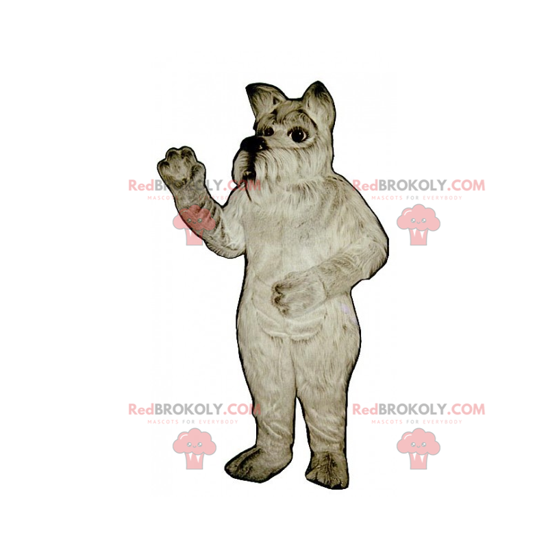 Mascotte del cane - Yorkshire - Redbrokoly.com