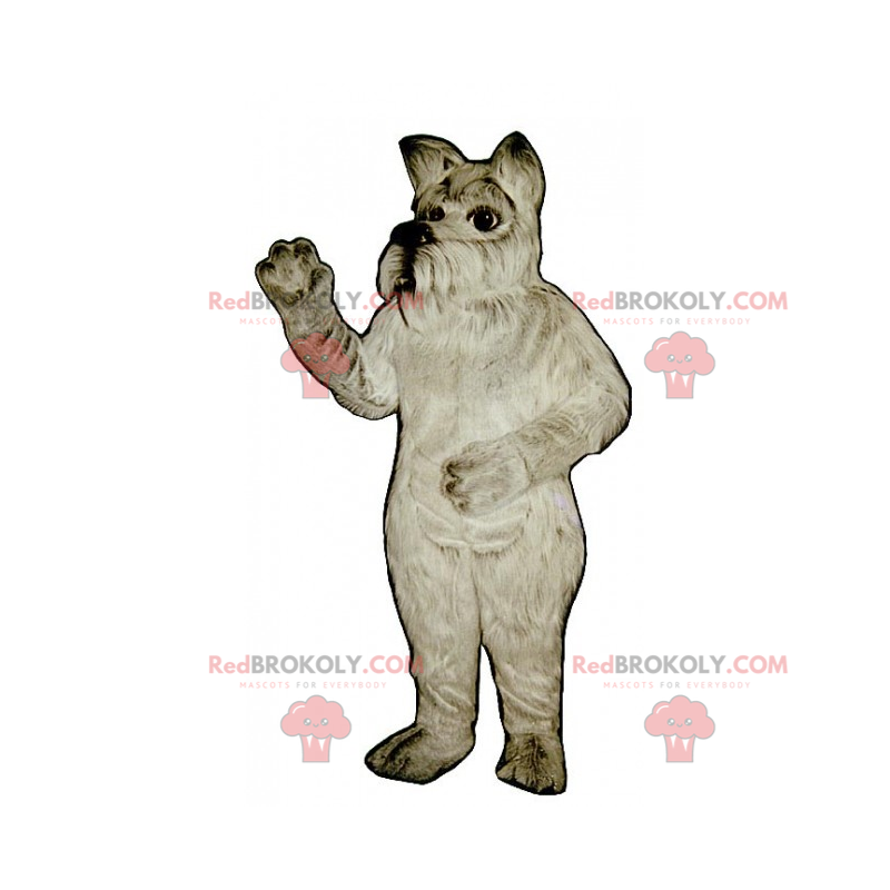 Maskot psa - Yorkshire - Redbrokoly.com