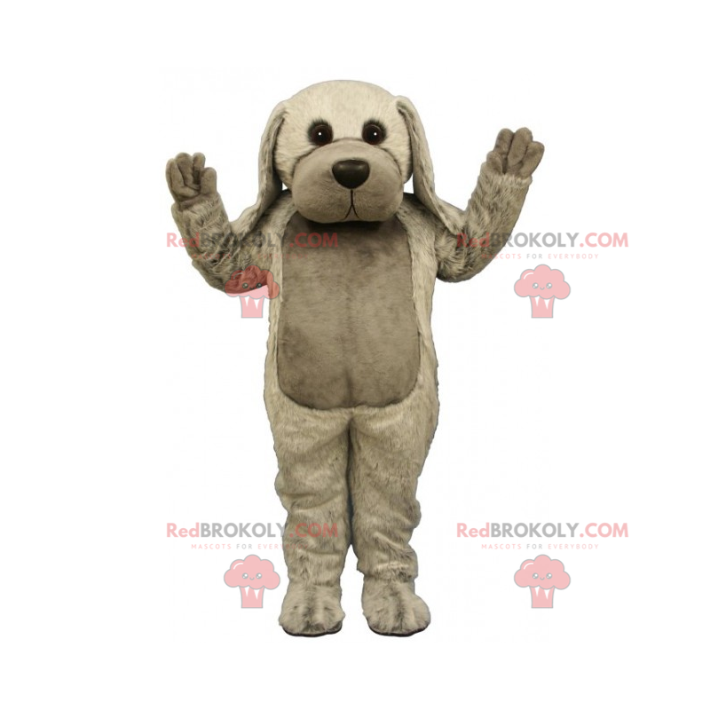 Cão mascote com longas orelhas cinzentas - Redbrokoly.com Cão mascote com longas orelhas cinzentas - Redbrokoly.com