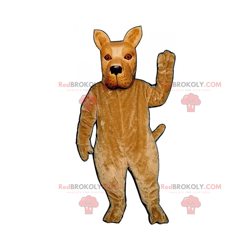 Hondenmascotte met puntige oren - Redbrokoly.com