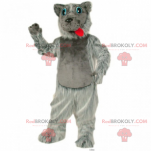 Mascotte cane dagli occhi blu - Redbrokoly.com