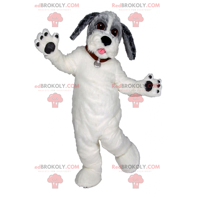 White dog mascot and gray head - Redbrokoly.com