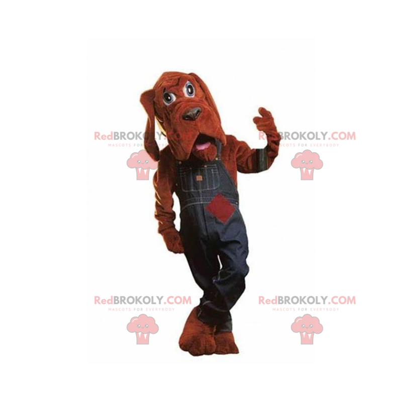 Mascote cachorro St Hubert com macacão jeans - Redbrokoly.com