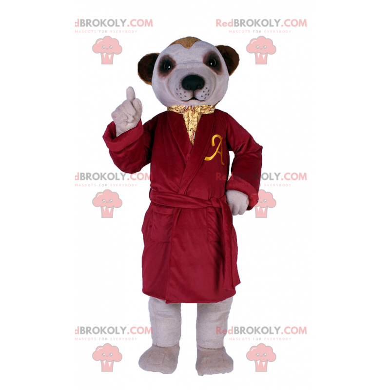 Hundemaskot i luksuriøs rød badekåpe - Redbrokoly.com Hundemaskot i luksuriøs rød badekåpe - Redbrokoly.com